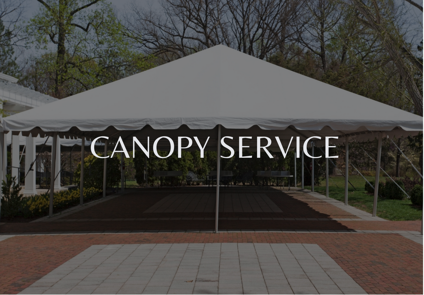 canopy